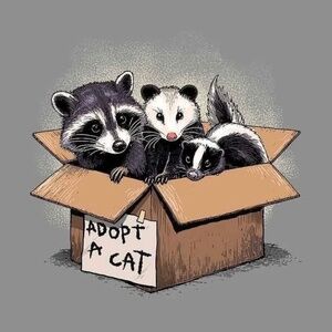 Meet your Posher, Rose